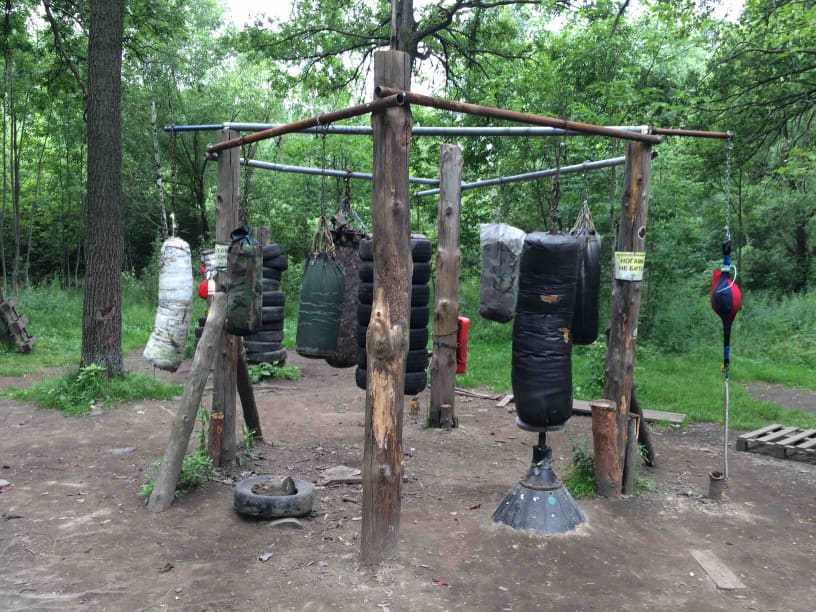 Parallel Gym Bars at Calisthenics Park at Воркаут Тимирязевский, Москва – photo 2 of 12