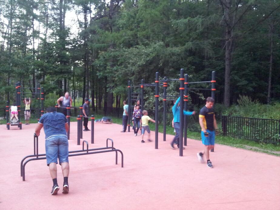 Parallel Gym Bars at Calisthenics Park at Палисадная улица, Москва – photo 2 of 2