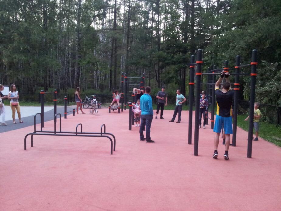 Pull Up Bar at Calisthenics Park at Палисадная улица, Москва – photo 1 of 2