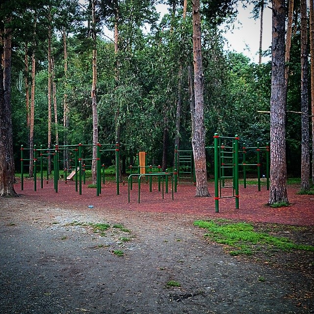 Pull Up Bar at Calisthenics Park at улица Зелёная Роща, Екатеринбург – photo 1 of 1