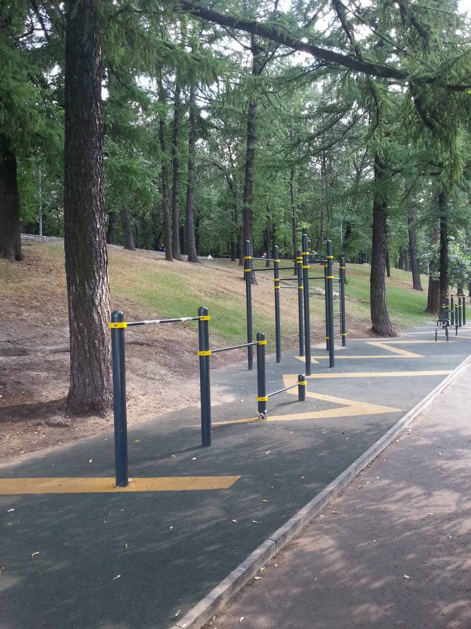 Monkey Bars at Calisthenics Park at Летняя улица, Москва – photo 4 of 6