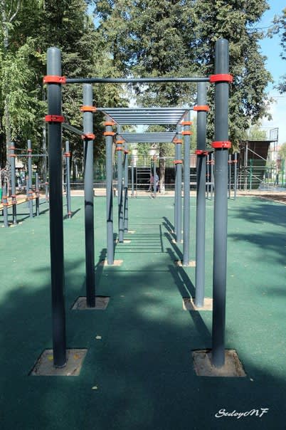 Шведська стінка на майданчику Calisthenics Park at улица Зарубина, Йошкар-Ола – фото 4 з 9