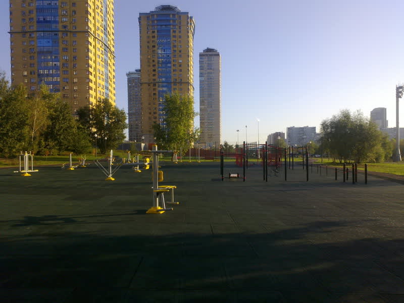 Wall Bars at Calisthenics Park at улица Маршала Катукова, Москва – photo 4 of 6