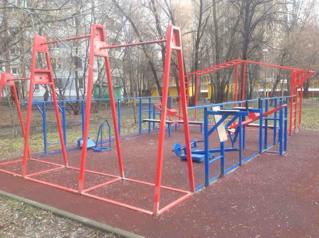 Monkey Bars at Calisthenics Park at улица Лавочкина, Москва – photo 3 of 3