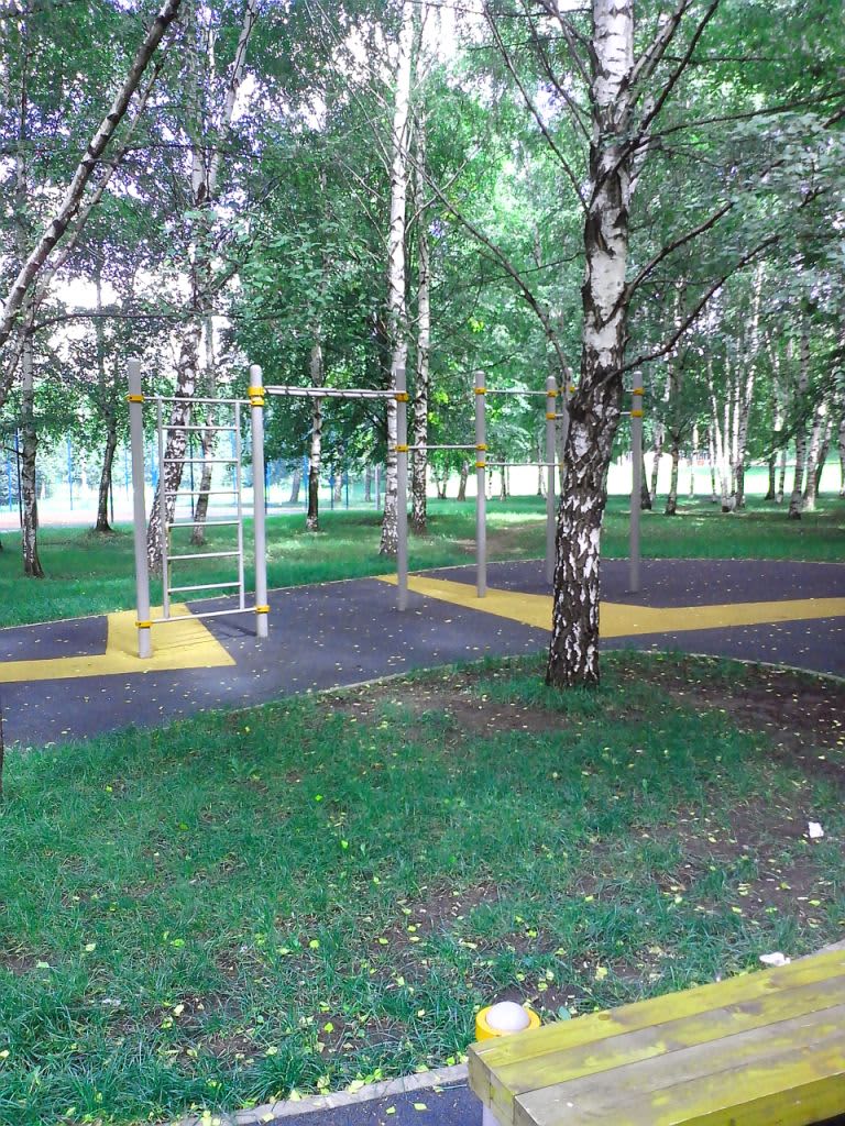 Parallel Gym Bars at Calisthenics Park at проезд Шокальского, Москва – photo 2 of 4
