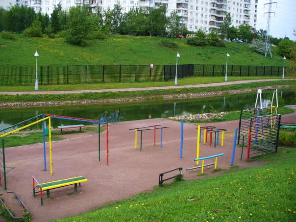 Wall Bars at Calisthenics Park at улица Раменки, Москва – photo 4 of 4