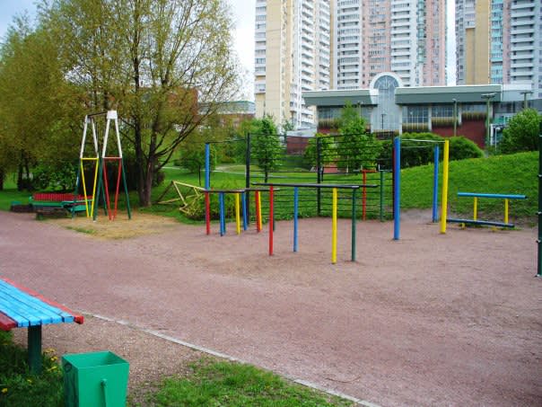 Pull Up Bar at Calisthenics Park at улица Раменки, Москва – photo 1 of 4