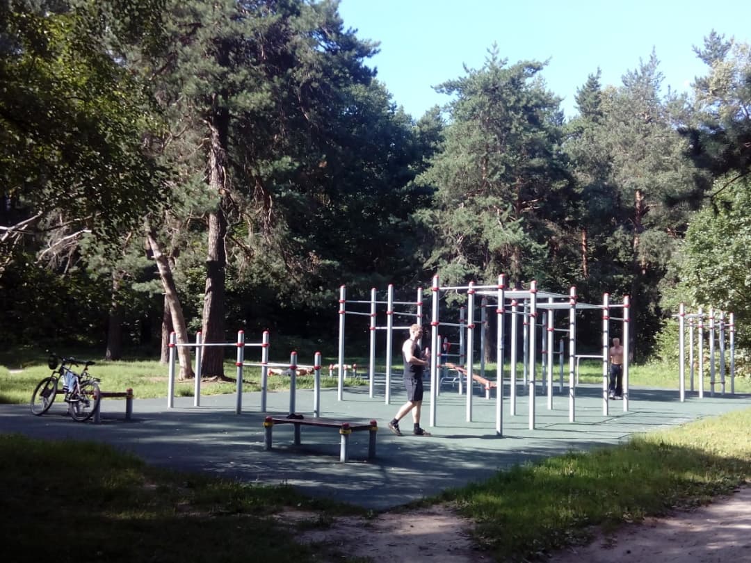 Pull Up Bar at Calisthenics Park at Кузьминская улица, Москва – photo 1 of 1
