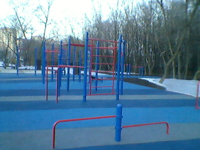 Monkey Bars at Calisthenics Park at Большая Академическая улица, Москва #wp1431 – photo 3 of 7