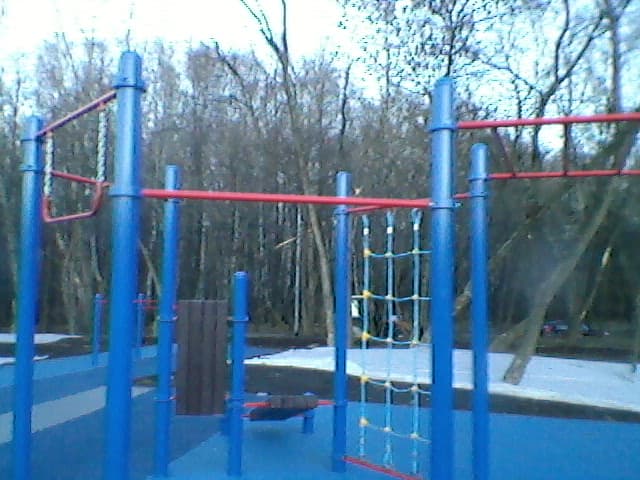 Wall Bars at Calisthenics Park at Большая Академическая улица, Москва #wp1431 – photo 4 of 7