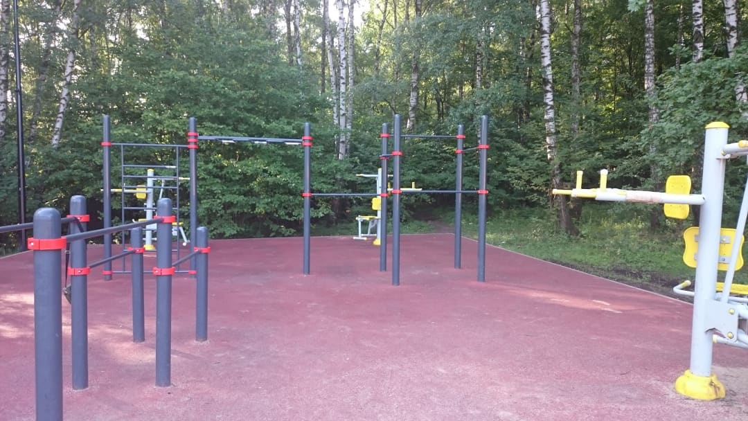 Monkey Bars at Calisthenics Park at улица Академика Виноградова, Москва – photo 3 of 3