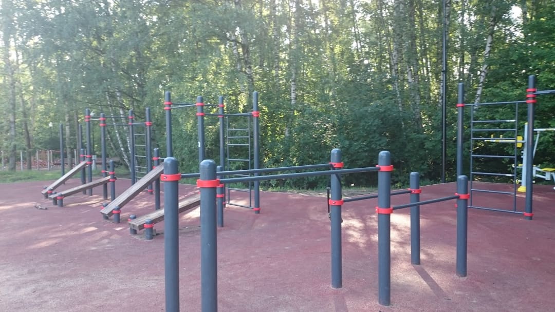 Parallel Gym Bars at Calisthenics Park at улица Академика Виноградова, Москва – photo 2 of 3