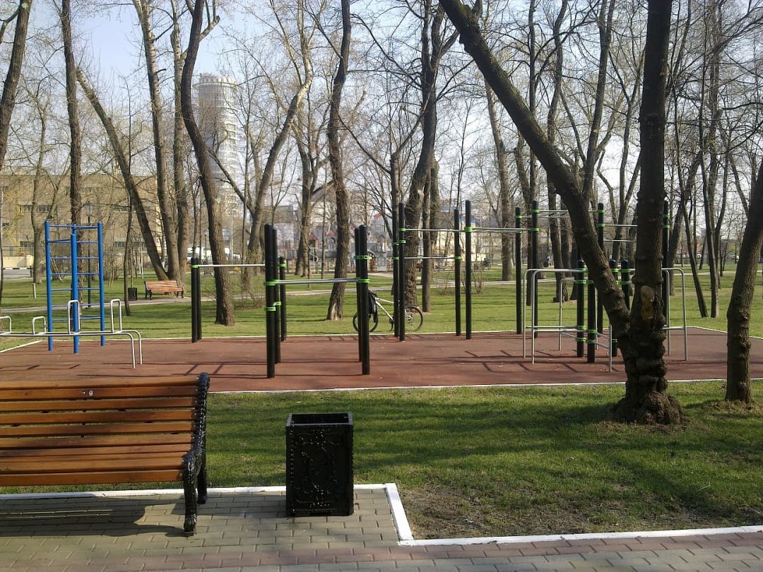 Parallel Gym Bars at Calisthenics Park at 1-й Краснокурсантский проезд, Москва – photo 2 of 2