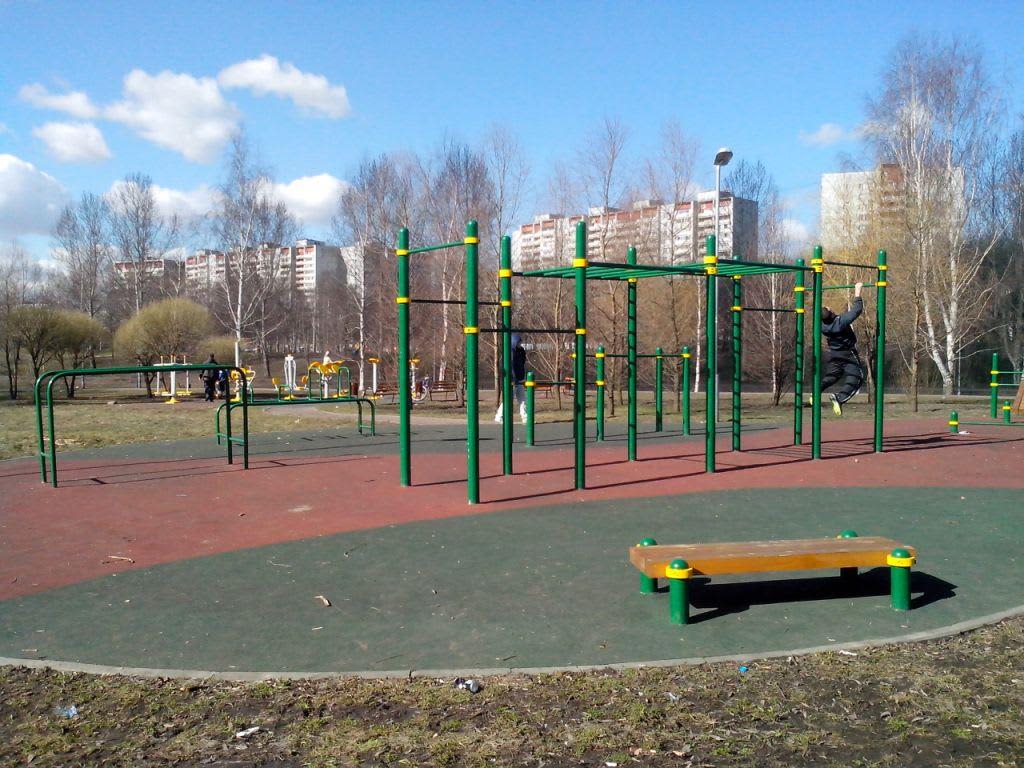 Monkey Bars at Calisthenics Park at Сухонская улица, Москва #wp1481 – photo 3 of 4