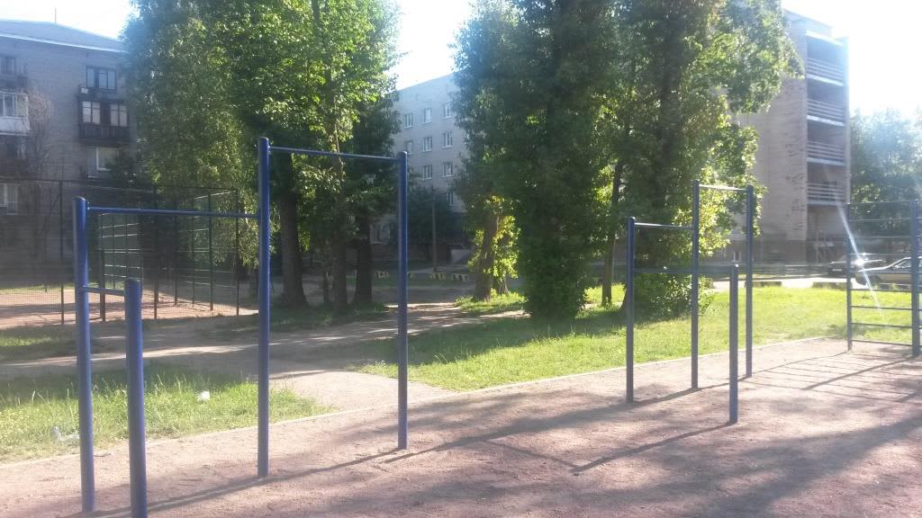 Wall Bars at Calisthenics Park at проспект Непокорённых, Санкт-Петербург – photo 4 of 5
