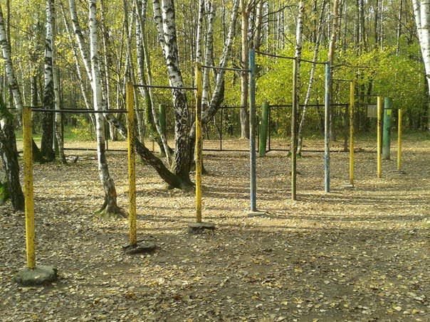Pull Up Bar at Calisthenics Park at Медик, Москва – photo 1 of 3