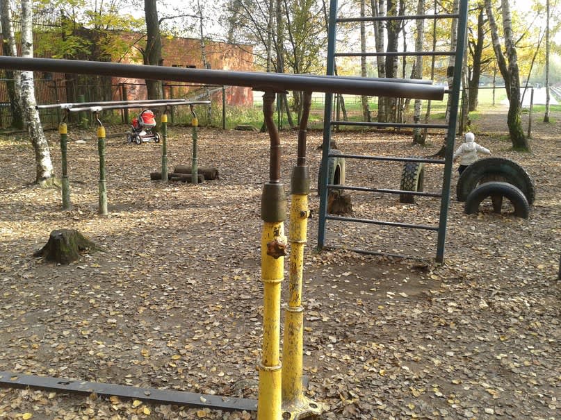Monkey Bars at Calisthenics Park at Медик, Москва – photo 3 of 3