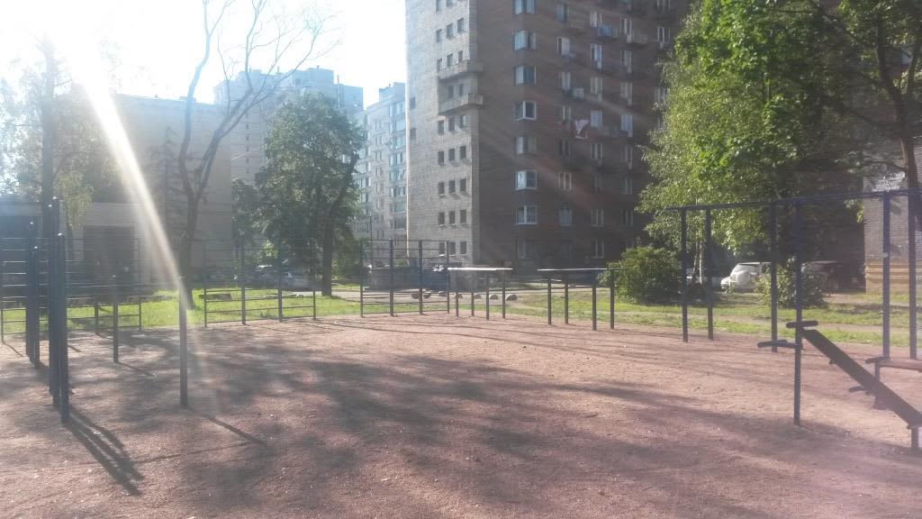 Monkey Bars at Calisthenics Park at проспект Непокорённых, Санкт-Петербург – photo 3 of 5