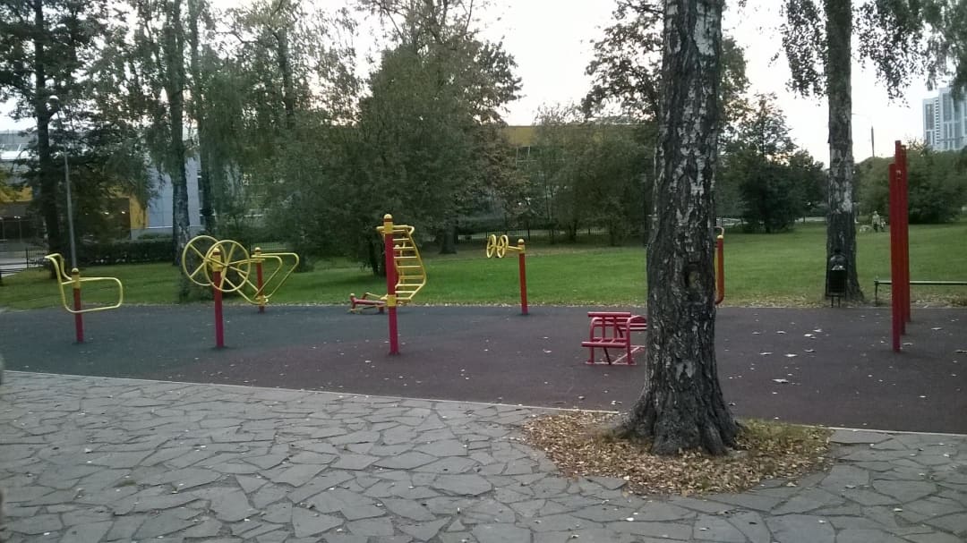 Pull Up Bar at Calisthenics Park at Большая Черкизовская улица, Москва #wp1501 – photo 1 of 6