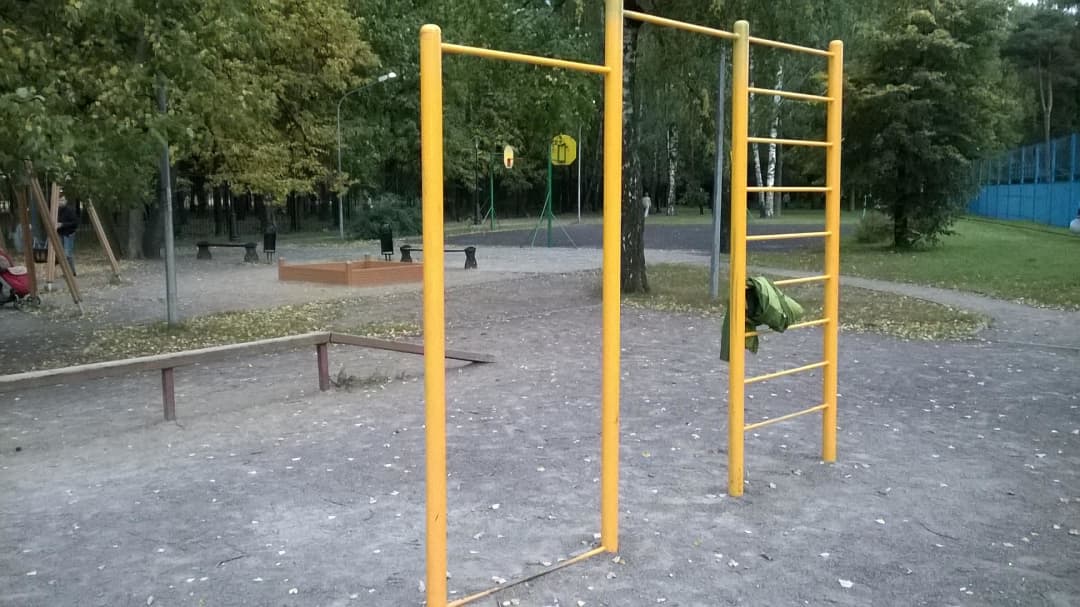 Parallel Gym Bars at Calisthenics Park at Большая Черкизовская улица, Москва #wp1501 – photo 2 of 6