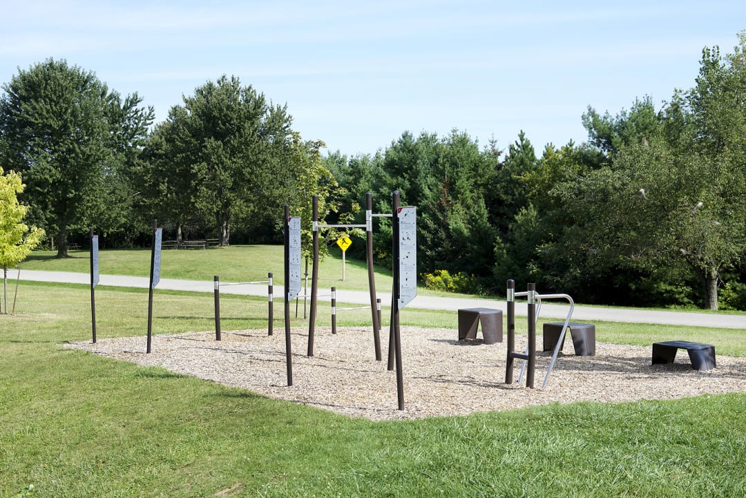 Parallel Gym Bars at Calisthenics Park at Conservation Drive, Brampton – photo 1 of 1