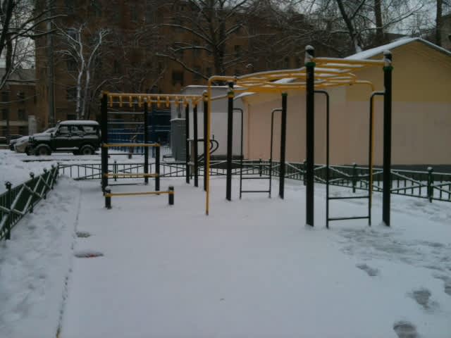 Monkey Bars at Calisthenics Park at Новоконюшенный переулок, Москва – photo 2 of 2