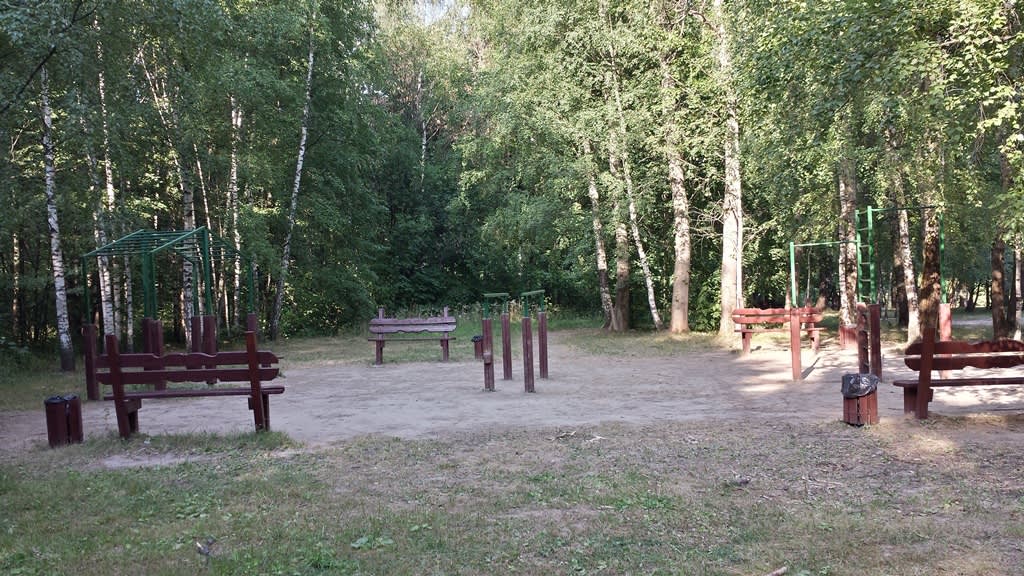 Monkey Bars at Calisthenics Park at улица Академика Анохина, Москва – photo 2 of 2