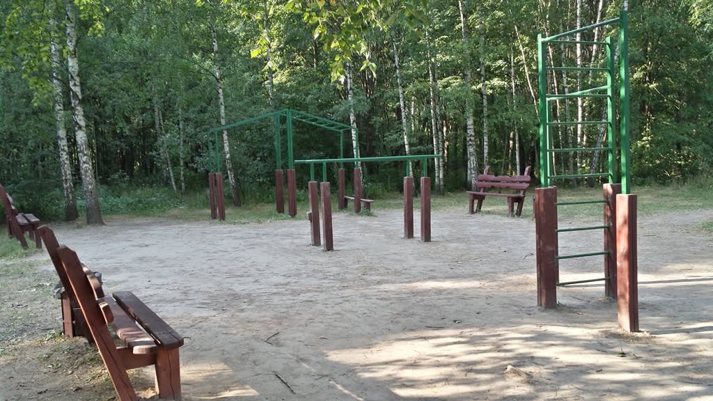 Parallel Gym Bars at Calisthenics Park at улица Академика Анохина, Москва – photo 1 of 2