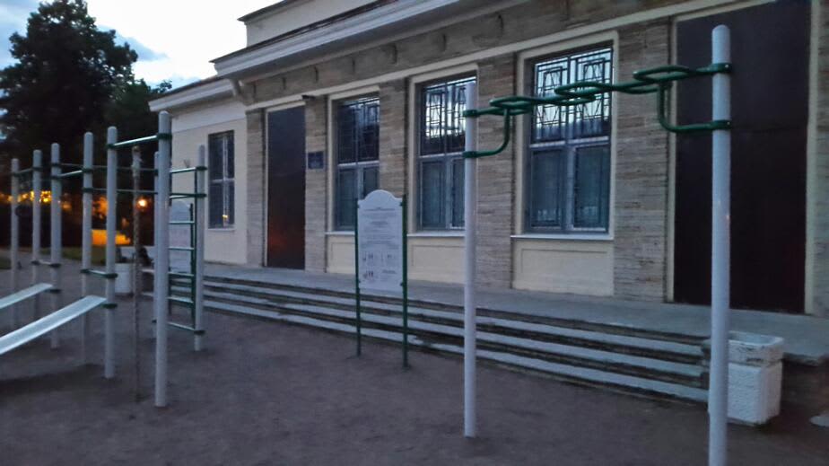 Monkey Bars at Calisthenics Park at Кирочная улица, Санкт-Петербург – photo 3 of 3