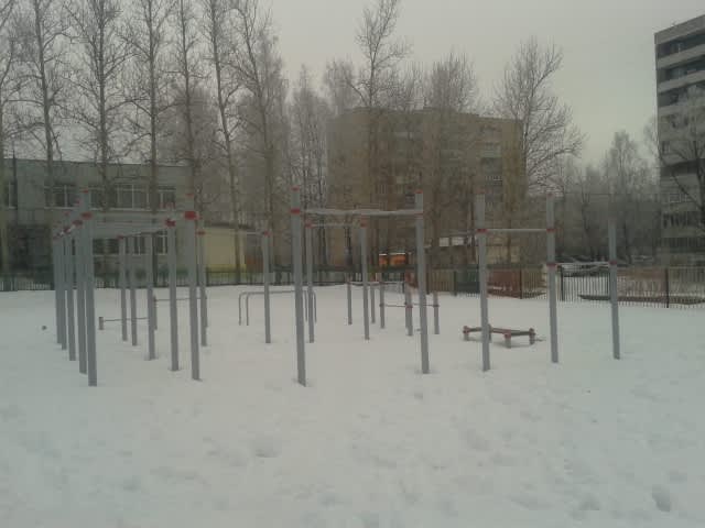 Spalier la Calisthenics Park at Угловая улица, Егорьевск – fotografia 5 din 7