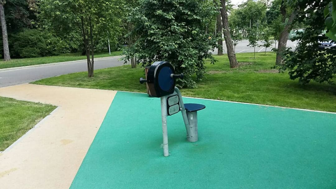 Elliptical Cross Trainer at Calisthenics Park at Олимпийский комплекс «Лужники», Москва – photo 15 of 20