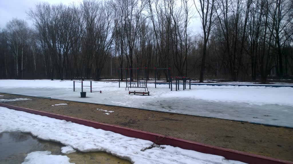 Parallel Gym Bars at Calisthenics Park at Набережная улица, городской округ Тамбов – photo 1 of 3