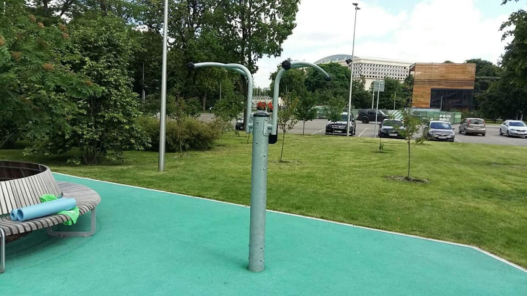 Monkey Bars at Calisthenics Park at Олимпийский комплекс «Лужники», Москва – photo 13 of 20
