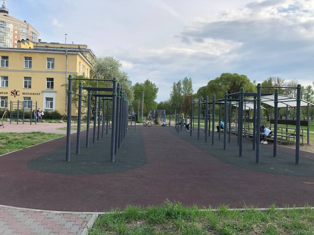 Monkey Bars at Calisthenics Park at Пулковское шоссе, Санкт-Петербург – photo 4 of 7