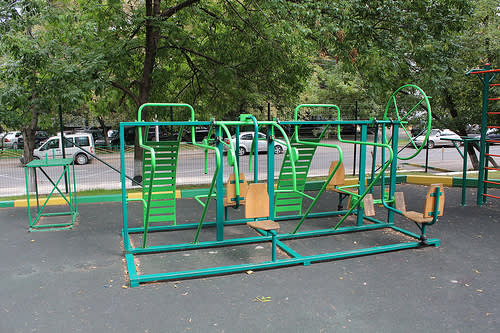 Wall Bars at Calisthenics Park at Пантелеевская улица, Москва – photo 5 of 5