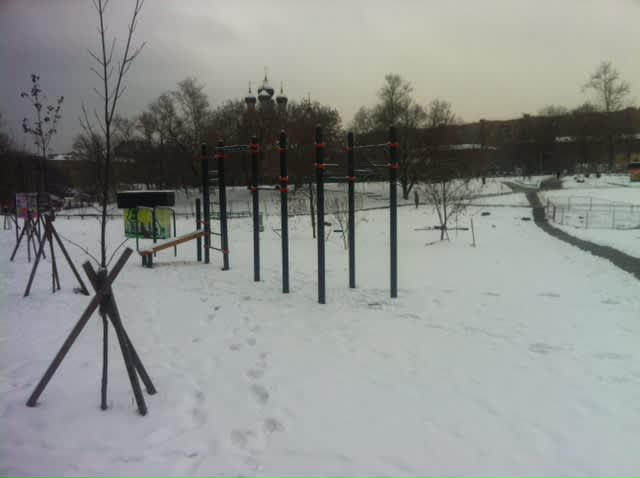 Parallel Gym Bars at Calisthenics Park at проспект Мира (дублёр), Москва – photo 1 of 1