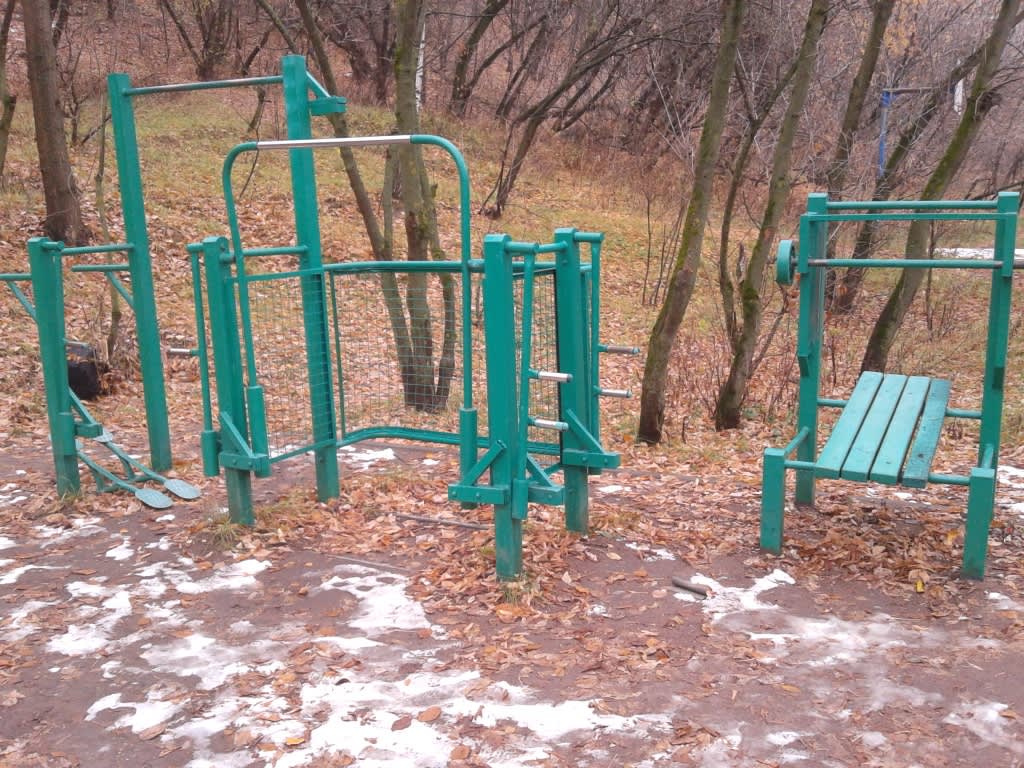 Monkey Bars at Calisthenics Park at Живописная улица, Москва – photo 3 of 6
