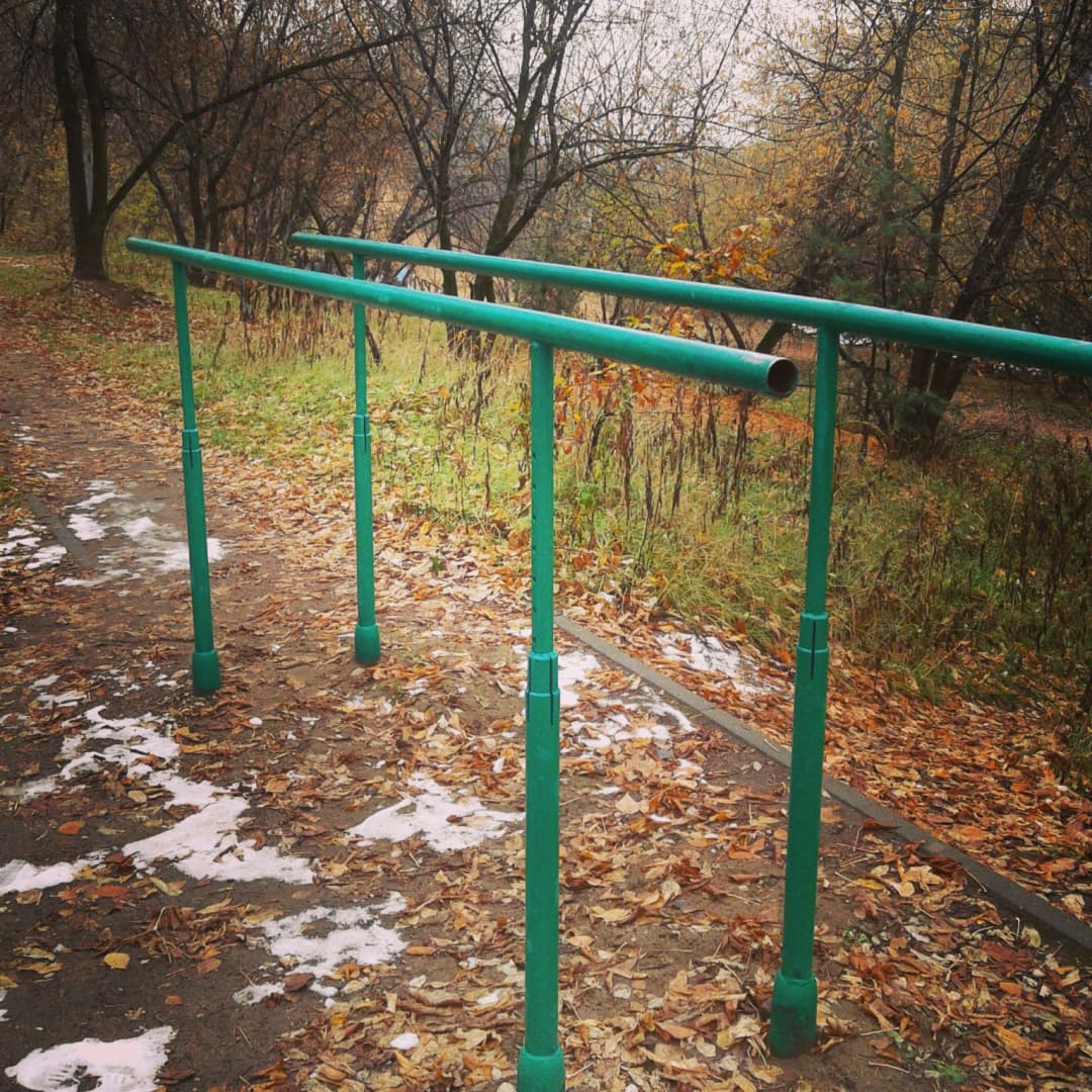 Flat Bench Press at Calisthenics Park at Живописная улица, Москва – photo 5 of 6