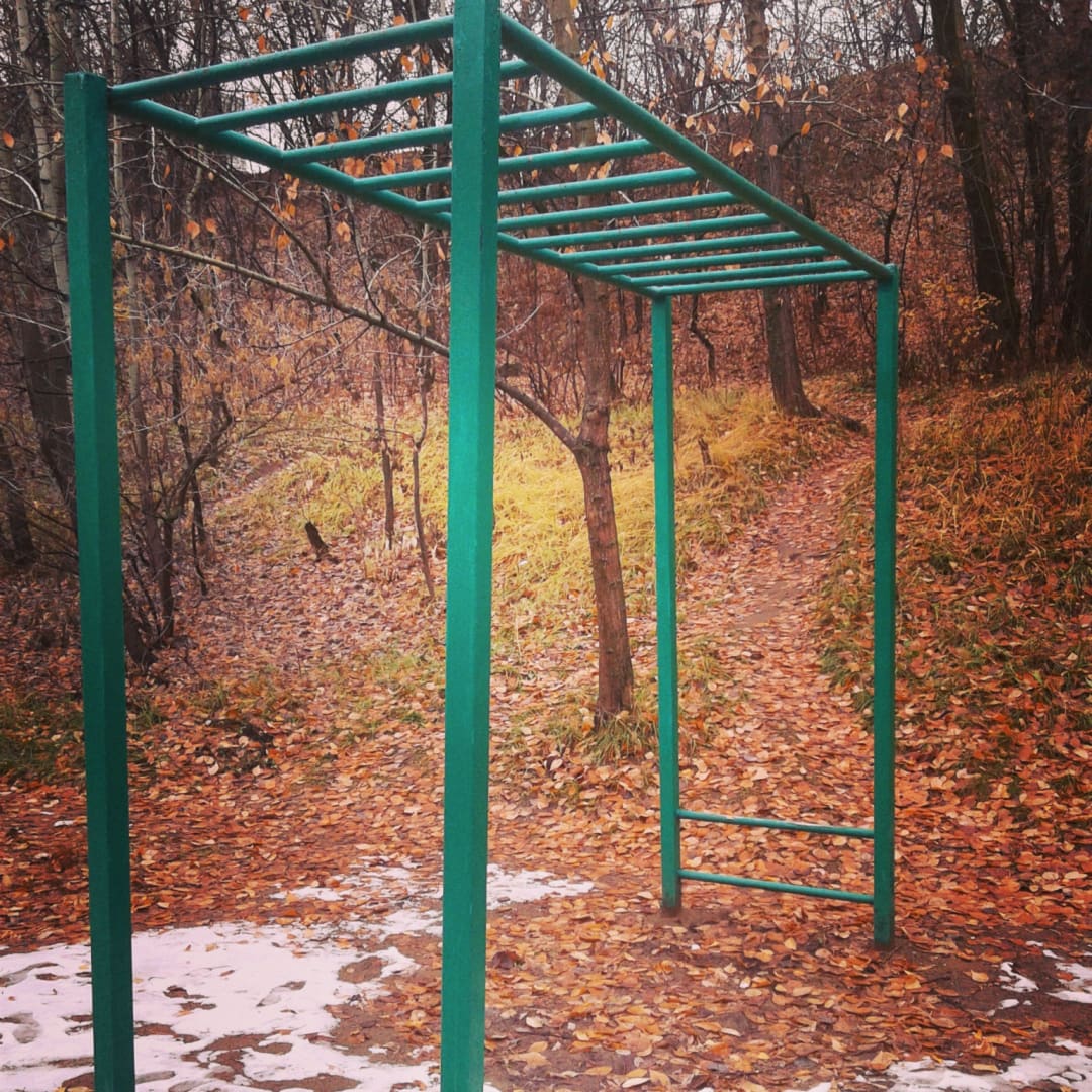 Pull Up Bar at Calisthenics Park at Живописная улица, Москва – photo 4 of 6