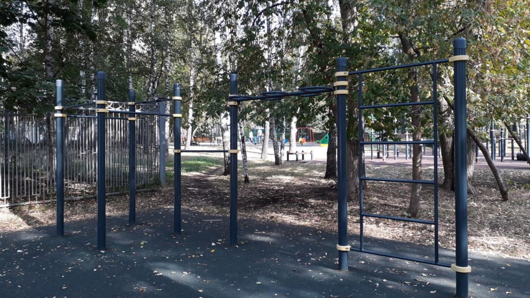 Monkey Bars at Calisthenics Park at Смольная улица, Москва – photo 4 of 9