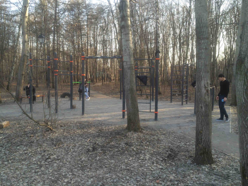 Parallel Gym Bars at Calisthenics Park at 2-й Лучевой просек, Москва – photo 1 of 2