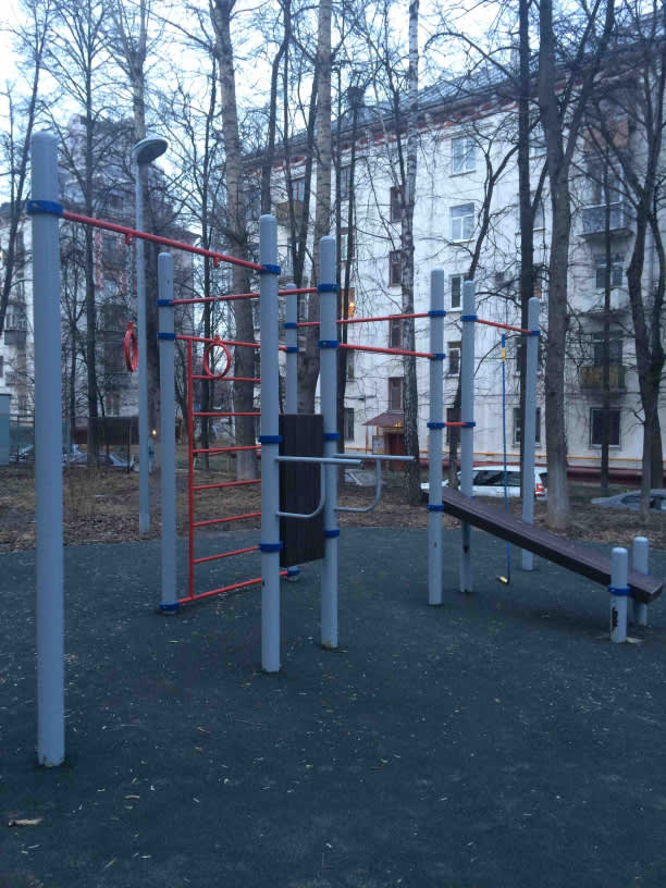 Wall Bars at Calisthenics Park at улица Расплетина, Москва – photo 2 of 3