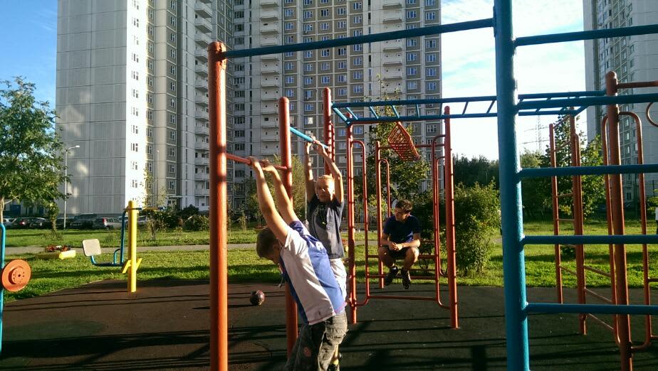Monkey Bars at Calisthenics Park at проектируемый проезд № 6263, Москва – photo 3 of 3
