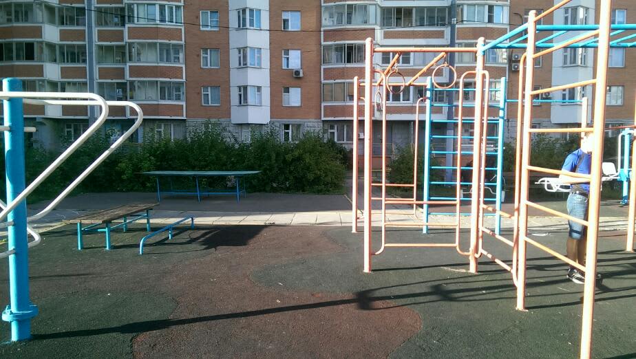 Parallel Gym Bars at Calisthenics Park at проектируемый проезд № 6263, Москва – photo 1 of 3