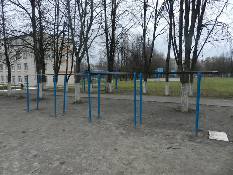 Parallel Gym Bars at Calisthenics Park at Курская улица, Железногорск – photo 5 of 5