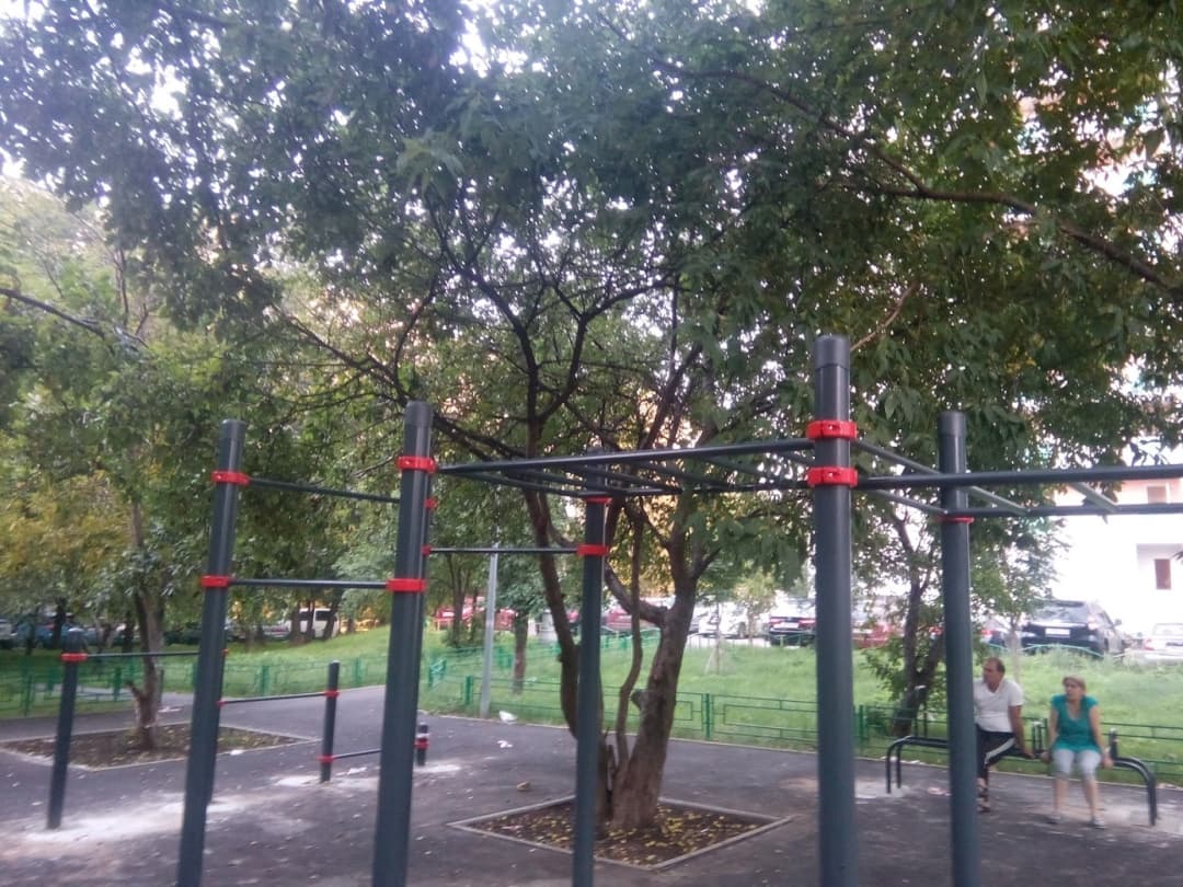 Monkey Bars at Calisthenics Park at Большая Академическая улица, Москва #wp1794 – photo 2 of 7