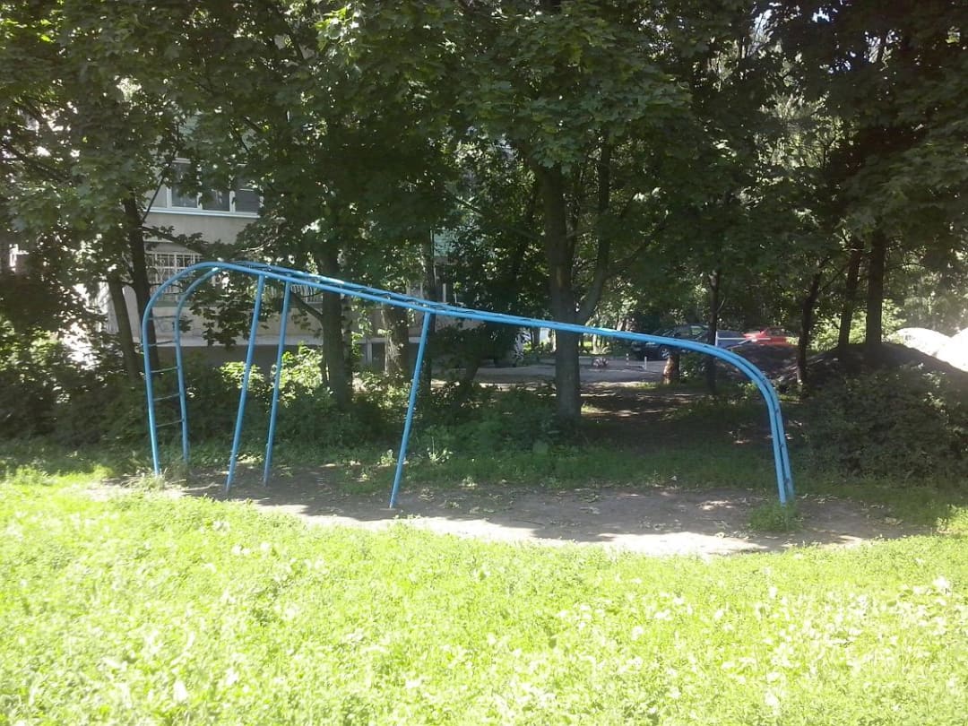 Wall Bars at Calisthenics Park at улица Гагарина, городской округ Рязань – photo 4 of 16