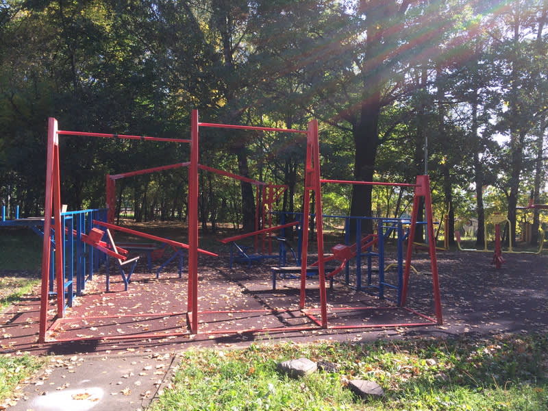Wall Bars at Calisthenics Park at Керамический проезд, Москва #wp1823 – photo 4 of 4