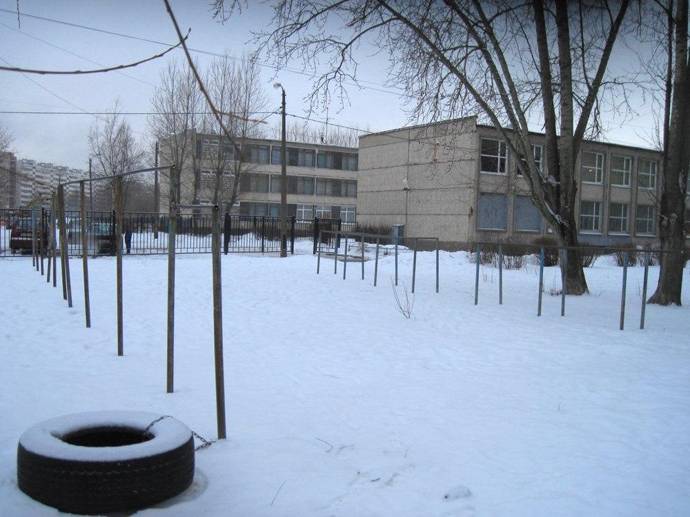 Parallel Gym Bars at Calisthenics Park at улица Добровольцев, Санкт-Петербург – photo 2 of 2