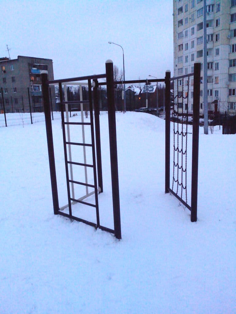 Parallel Gym Bars at Calisthenics Park at улица Гагарина, Домодедово – photo 2 of 2